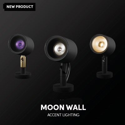 A New Moon 